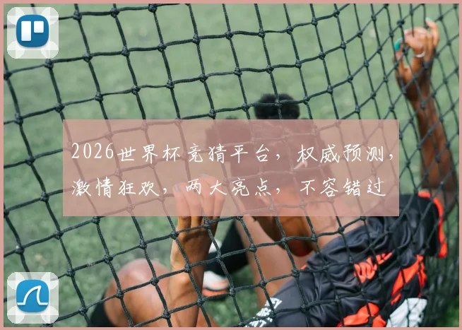 2026世界杯竞猜平台，权威预测，激情狂欢，两大亮点，不容错过