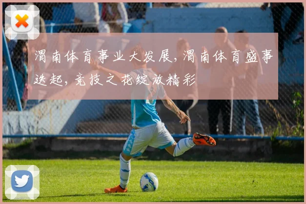 渭南体育事业大发展,渭南体育盛事迭起,竞技之花绽放精彩