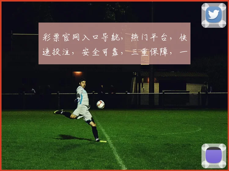 彩票官网入口导航，热门平台，快速投注，安全可靠，三重保障，一网打尽