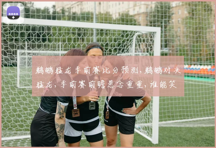 鹈鹕猛龙季前赛比分预测,鹈鹕对决猛龙,季前赛前瞻悬念重重,谁能笑到最后